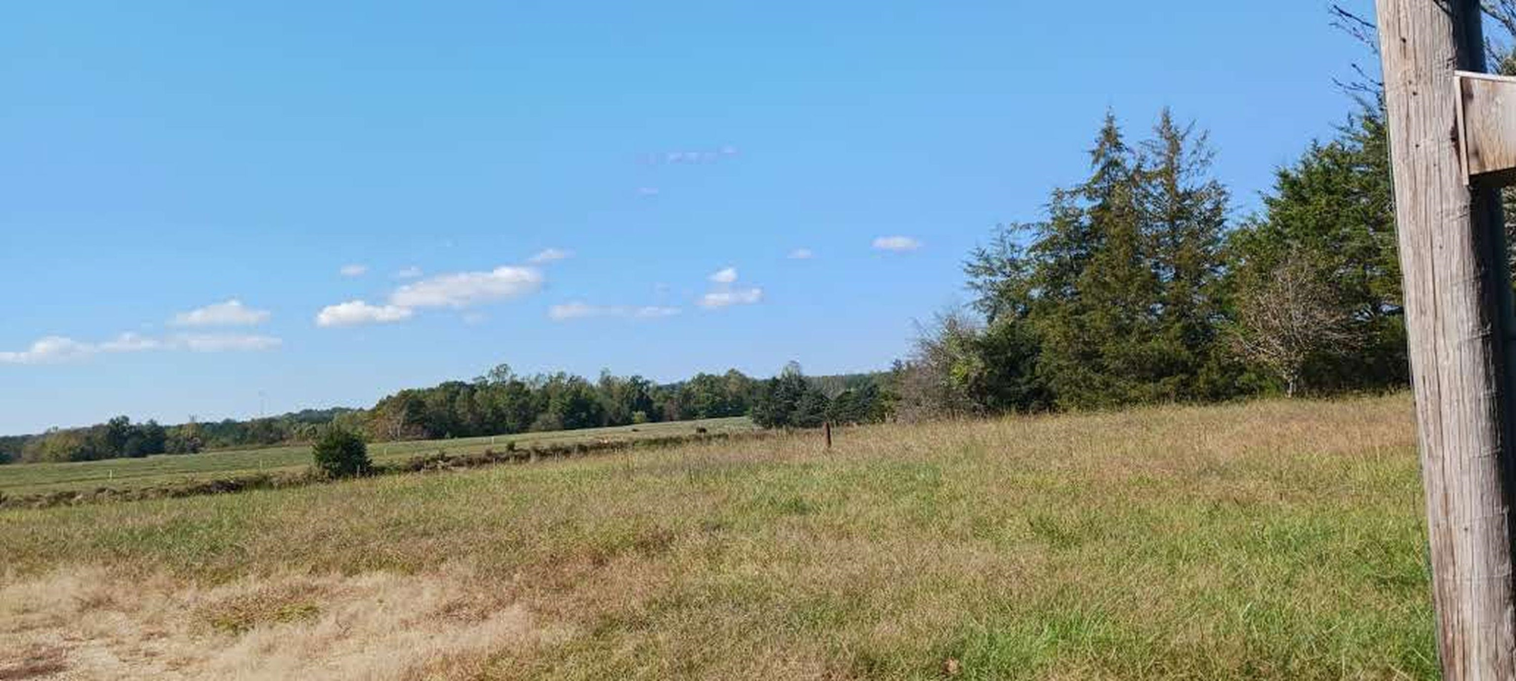 9201 Allison Road Cedar Grove, NC 27231 - Photo 11 of 16 Photo 12