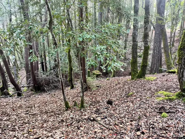 $4,800 | 1451 Perch Way, Willits, CA 95490