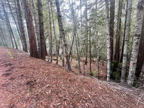 $4,800 | 1451 Perch Way, Willits, CA 95490