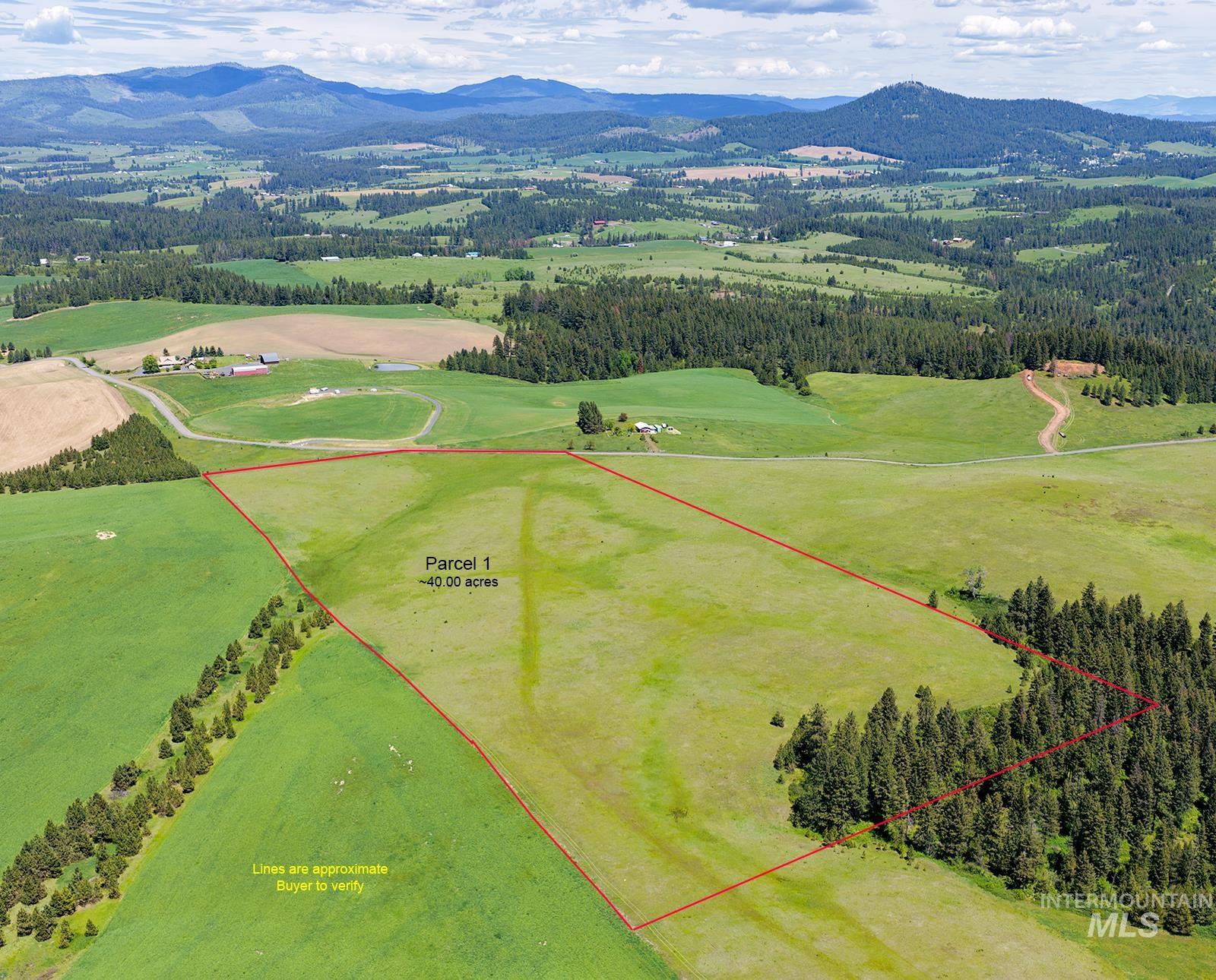 Tbd Tbd Johnson Road, Unit 1 Deary, ID 83823 - Photo 17 of 18