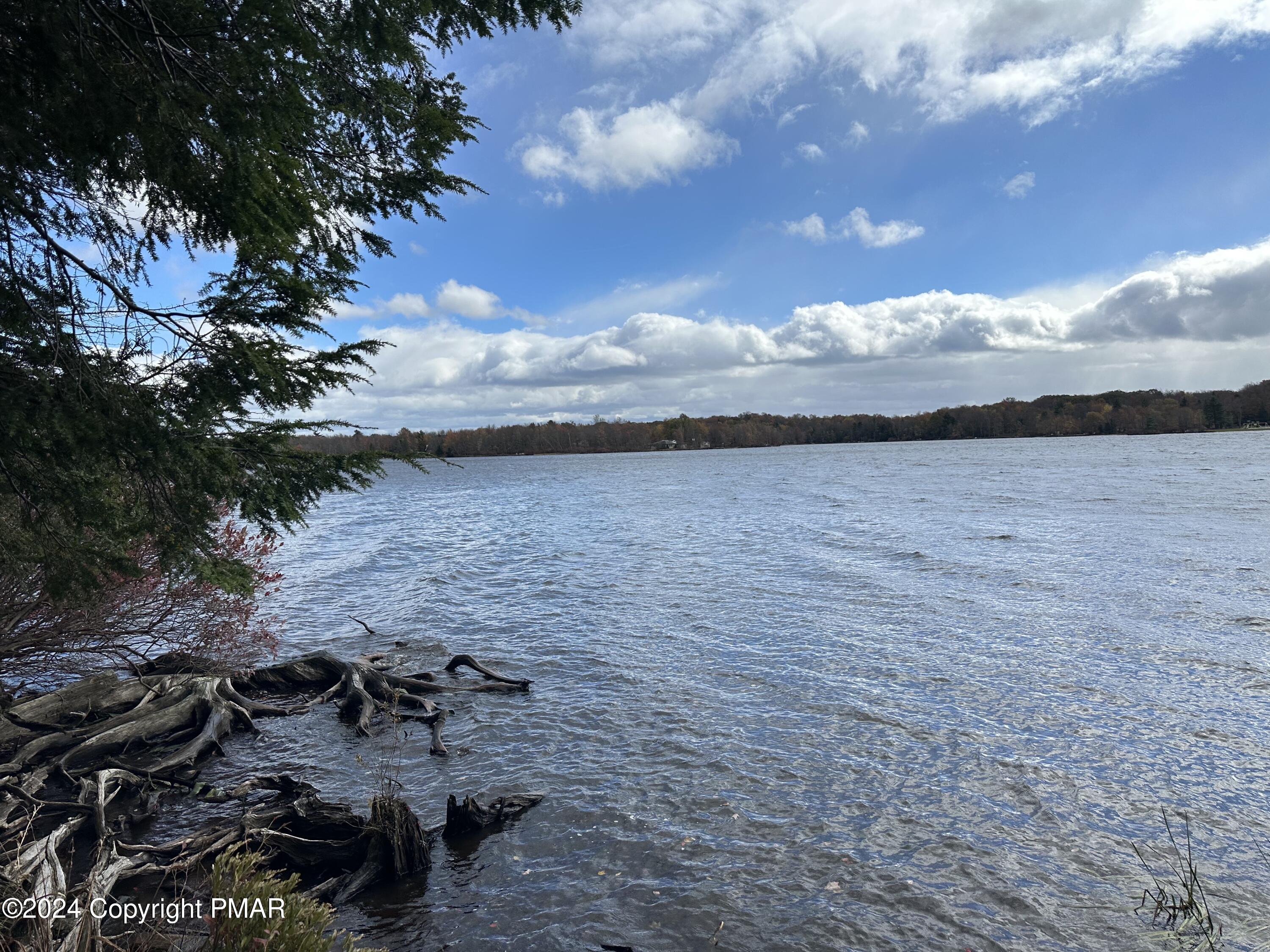 a view of a lake from a yard