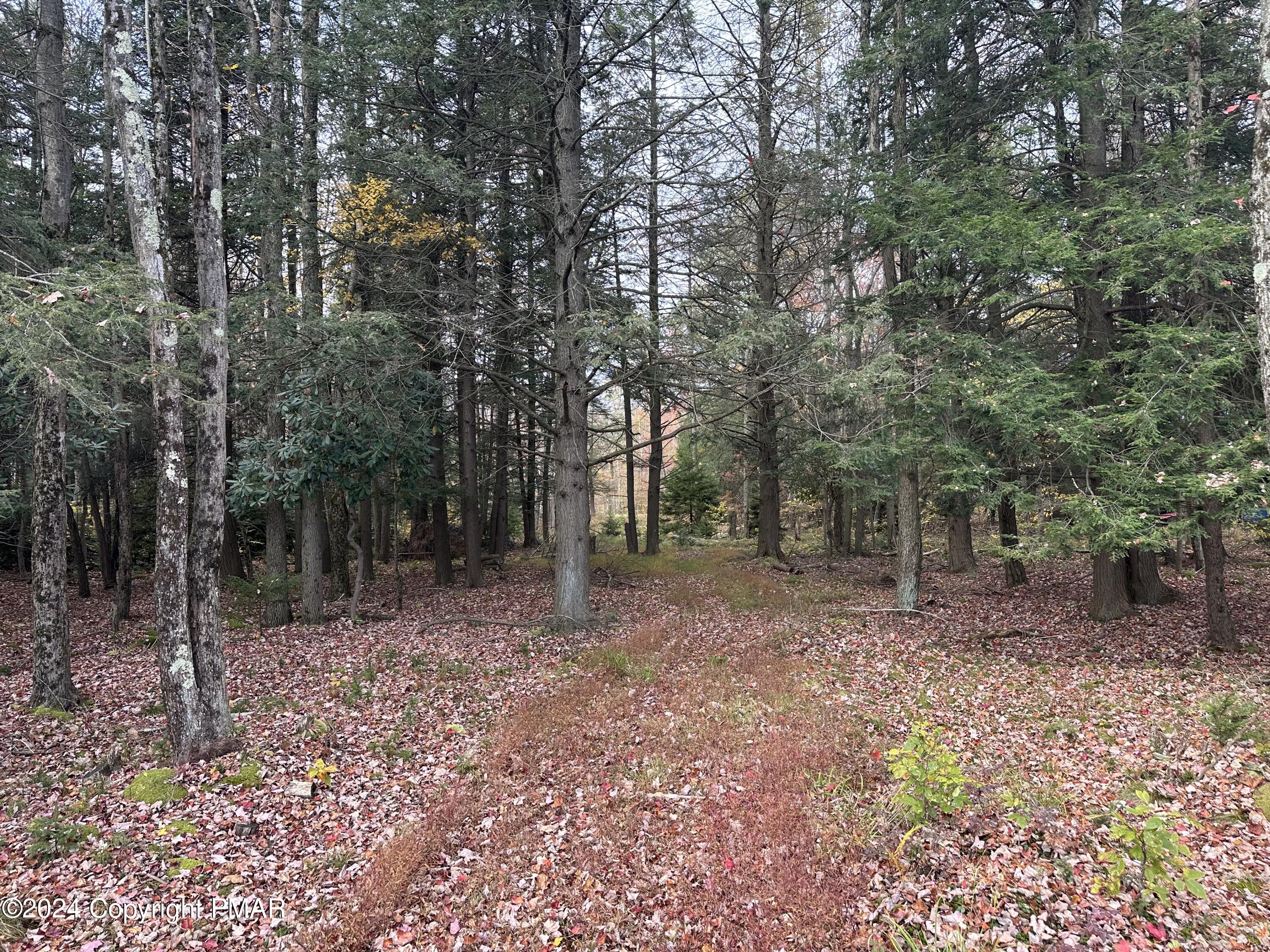 Lot 10 North Estates Drive Pocono Summit, PA 18346 - Photo 6 of 8 a view of a forest with trees in the background