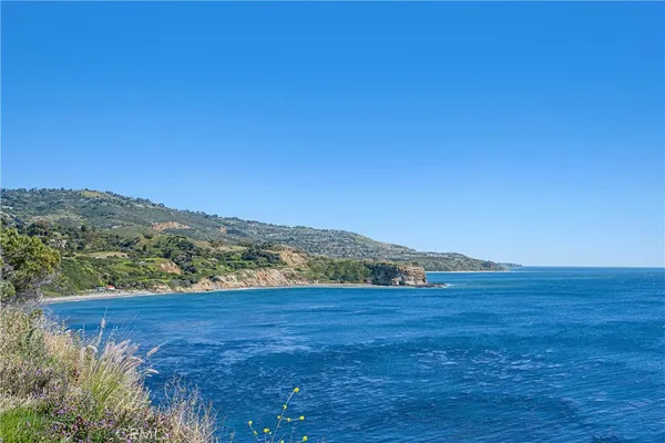 a view of an ocean from a yard