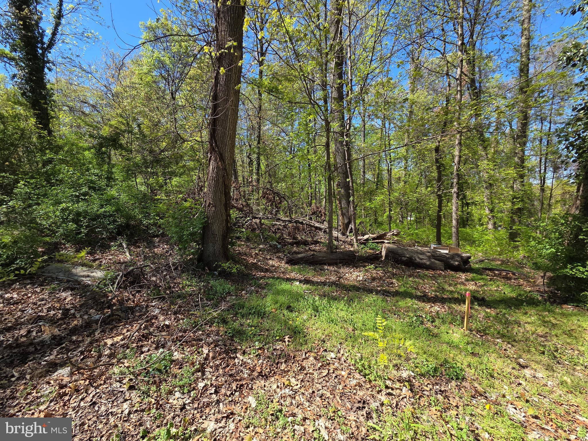 Riverdale Road Lanham, MD 20706 - Photo 11 of 15