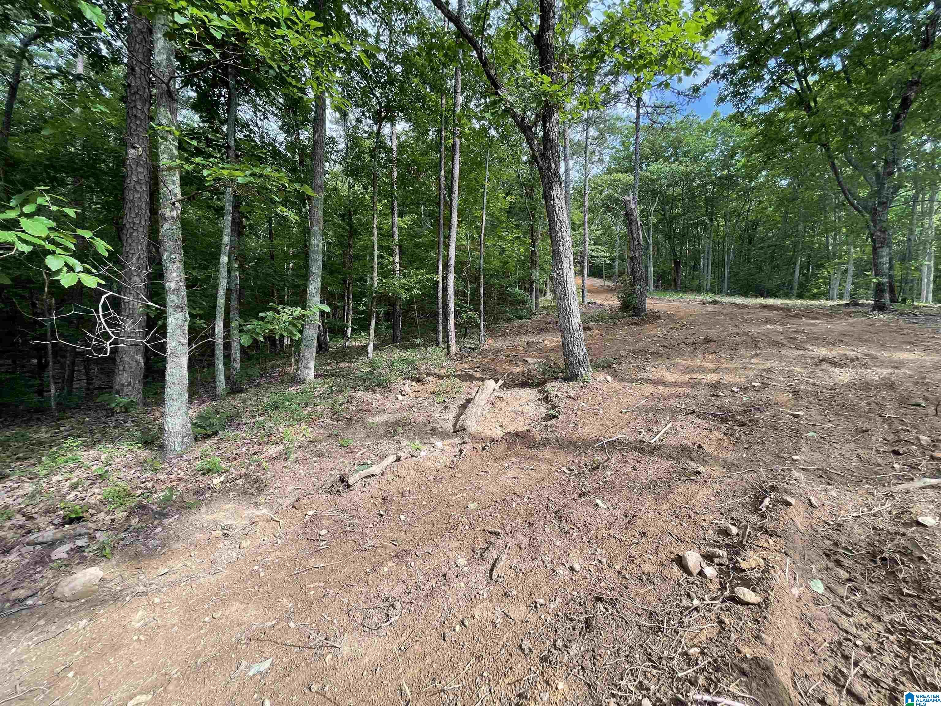 0 Scenic Road Jacksonville, AL 36265 - Photo 31 of 42