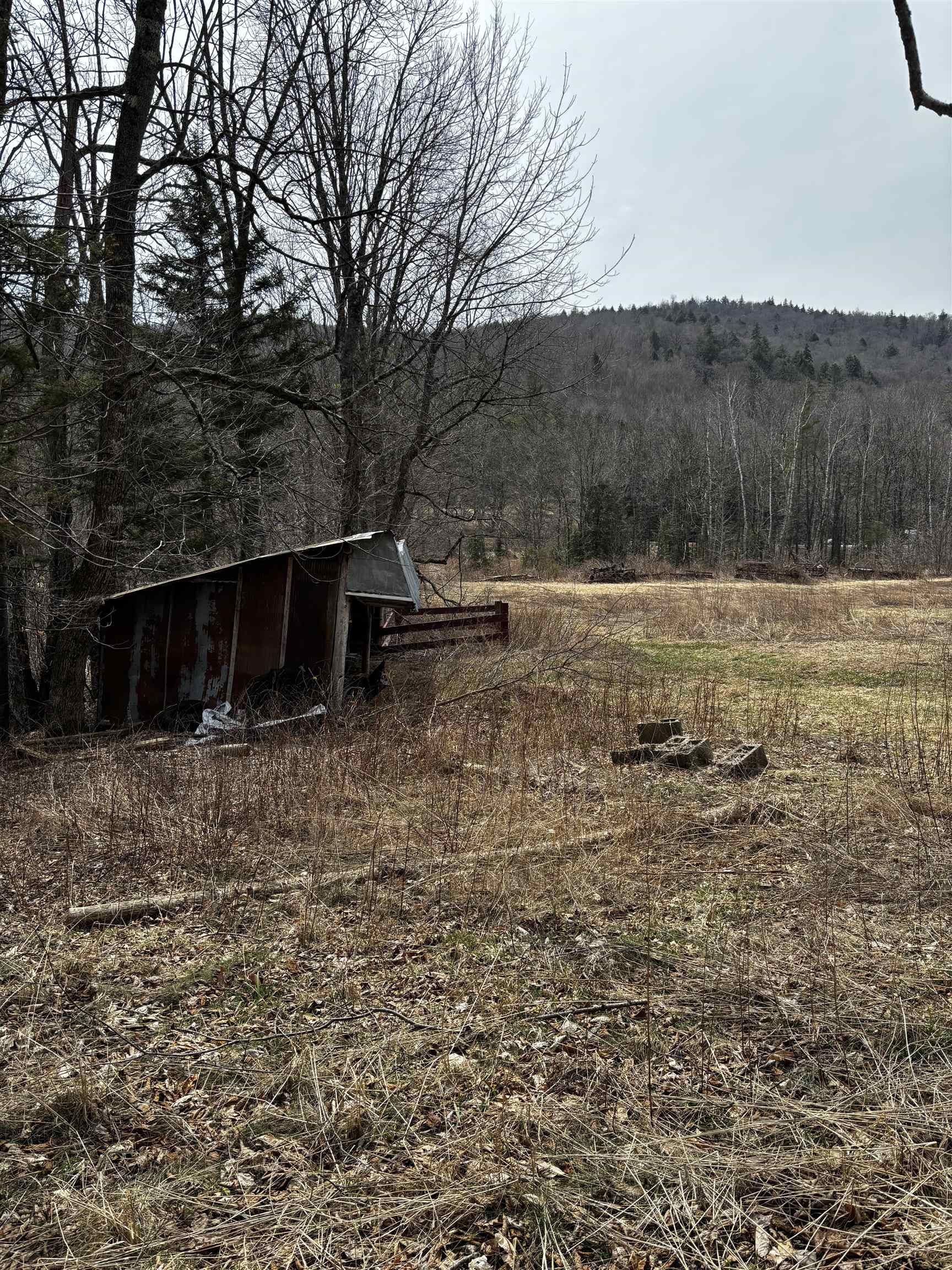 251 Fassett Hill Road Hancock, VT 05748 - Photo 4 of 7