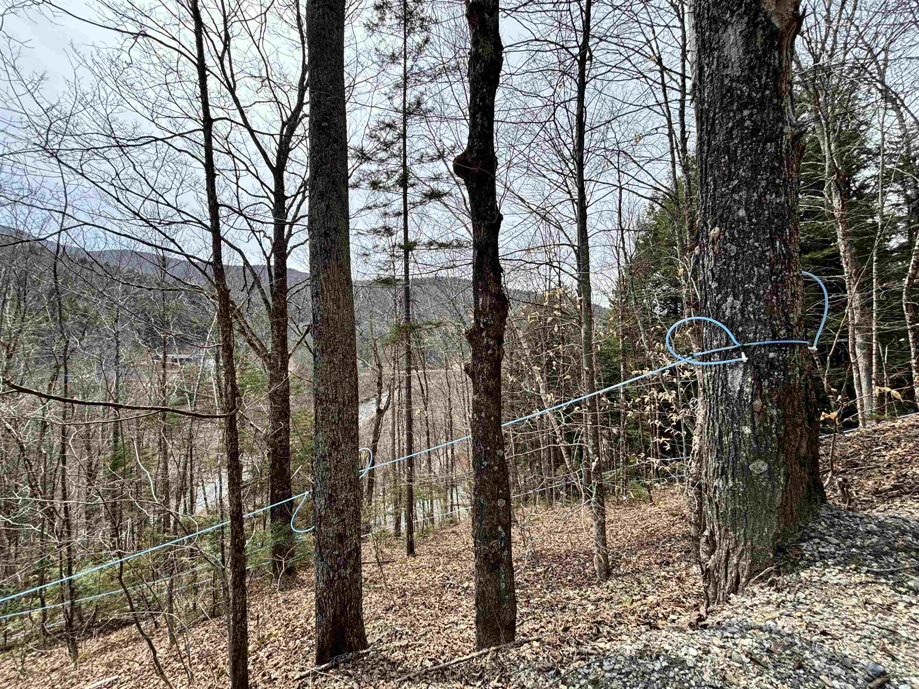 251 Fassett Hill Road Hancock, VT 05748 - Photo 6 of 7