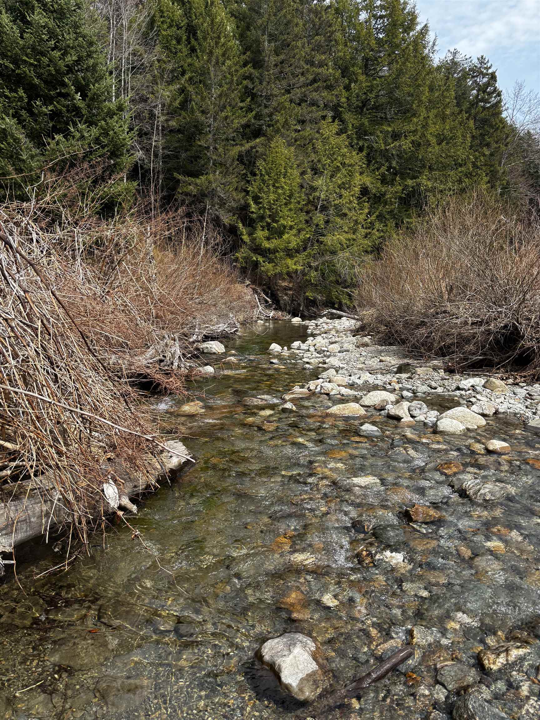 251 Fassett Hill Road Hancock, VT 05748 - Photo 7 of 7