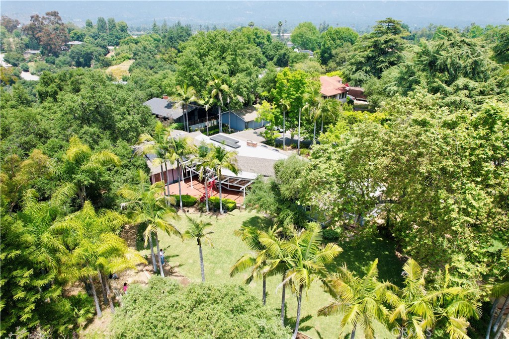 1777 La Cresta Drive Pasadena, CA 91103 - Photo 2 of 31 a view of a plant in a garden