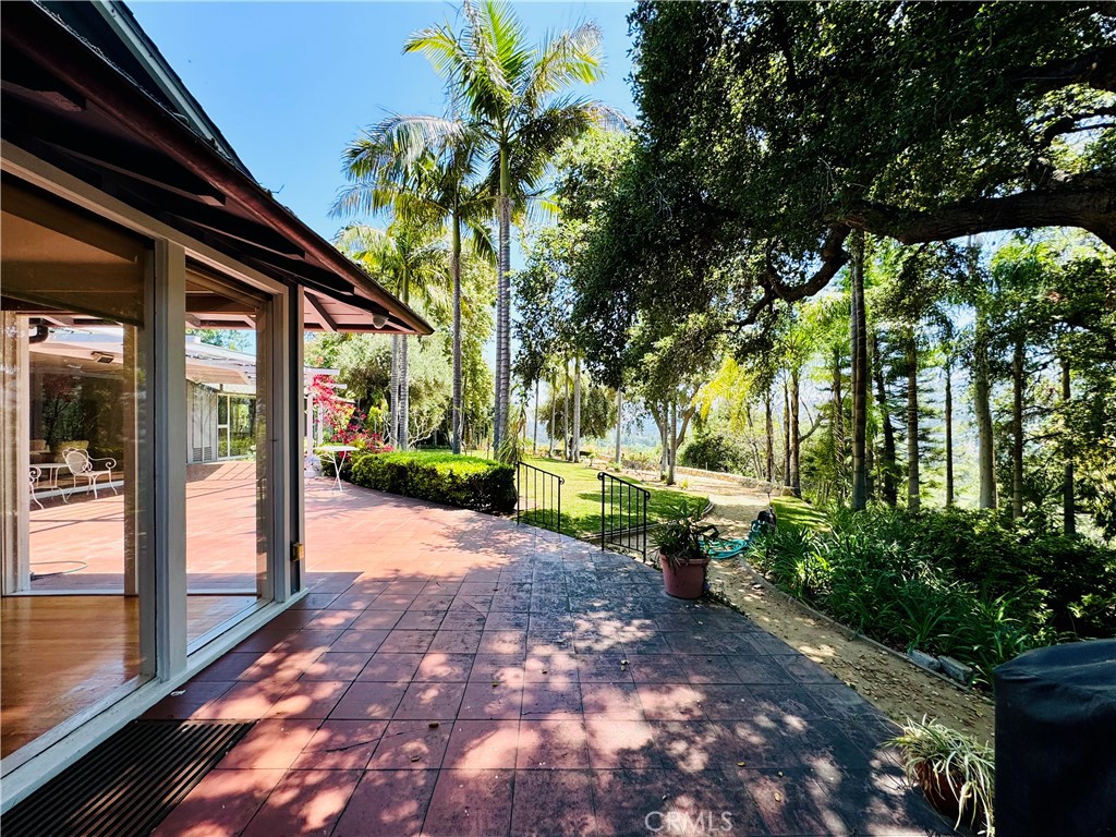 1777 La Cresta Drive Pasadena, CA 91103 - Photo 23 of 31 a view of a backyard with large trees and plants