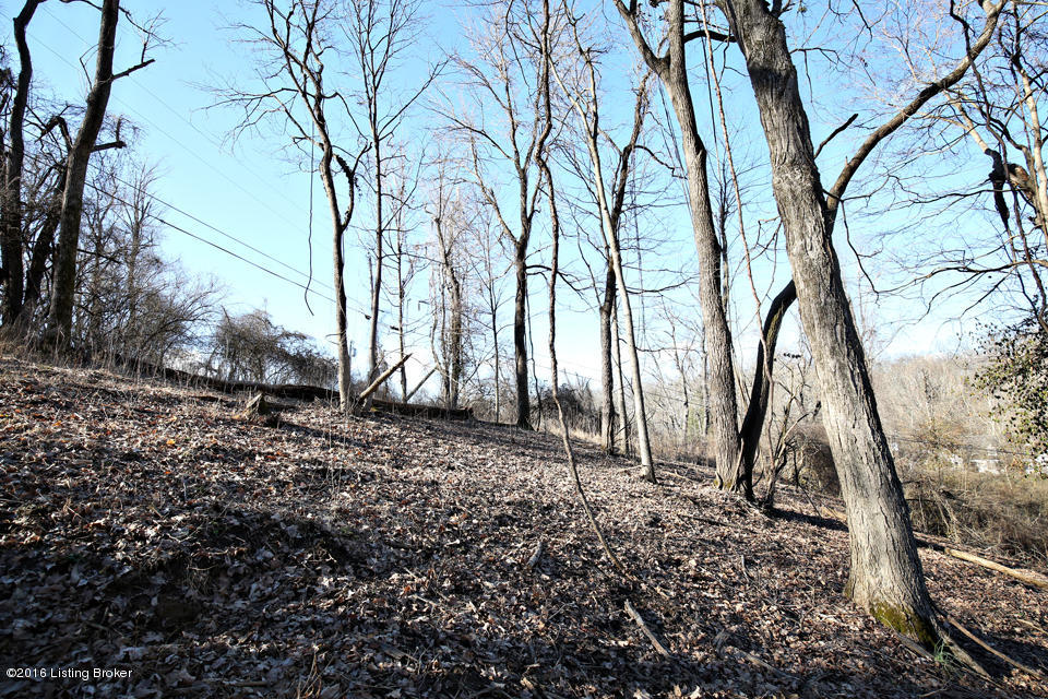 74 Westwind Road Louisville, KY 40207 - Photo 5 of 20 Nice shaped lot