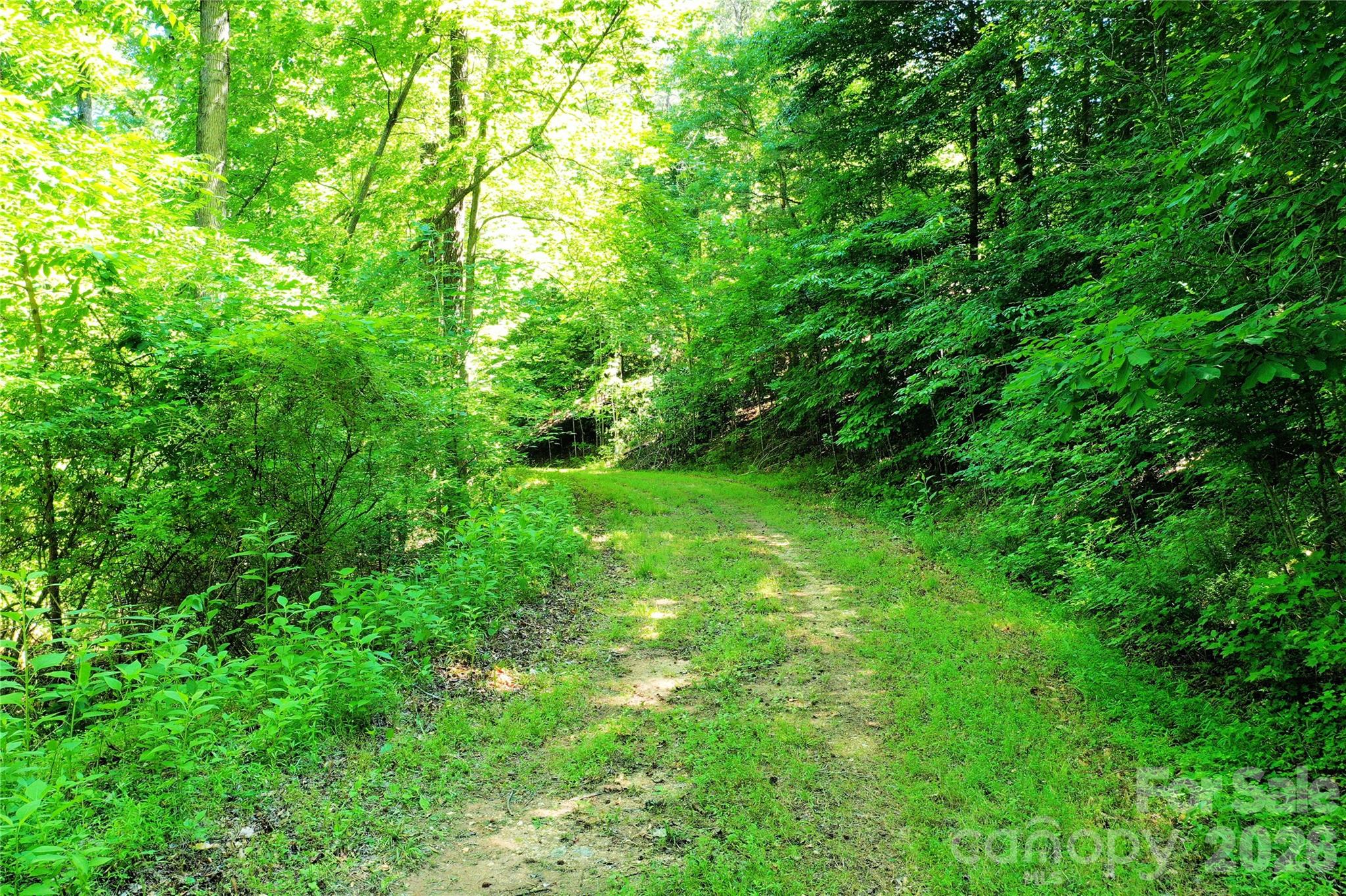 0 River Road Tryon, NC 28782 - Photo 3 of 30
