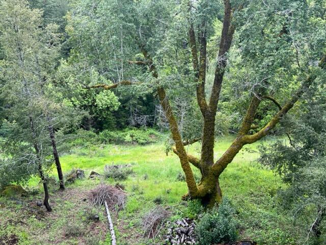 1100 Wallan Road Garberville, CA 95542 - Photo 19 of 45 Overlooking the Creek