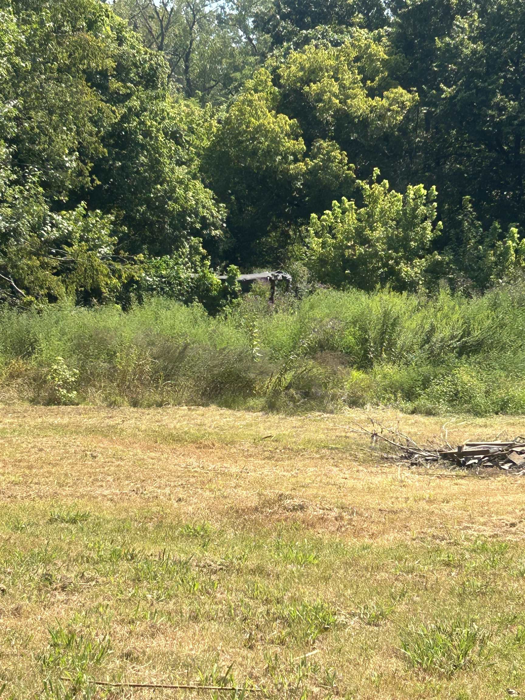 6936 Walsh Road Millington, TN 38053 - Photo 11 of 15 View of local wilderness