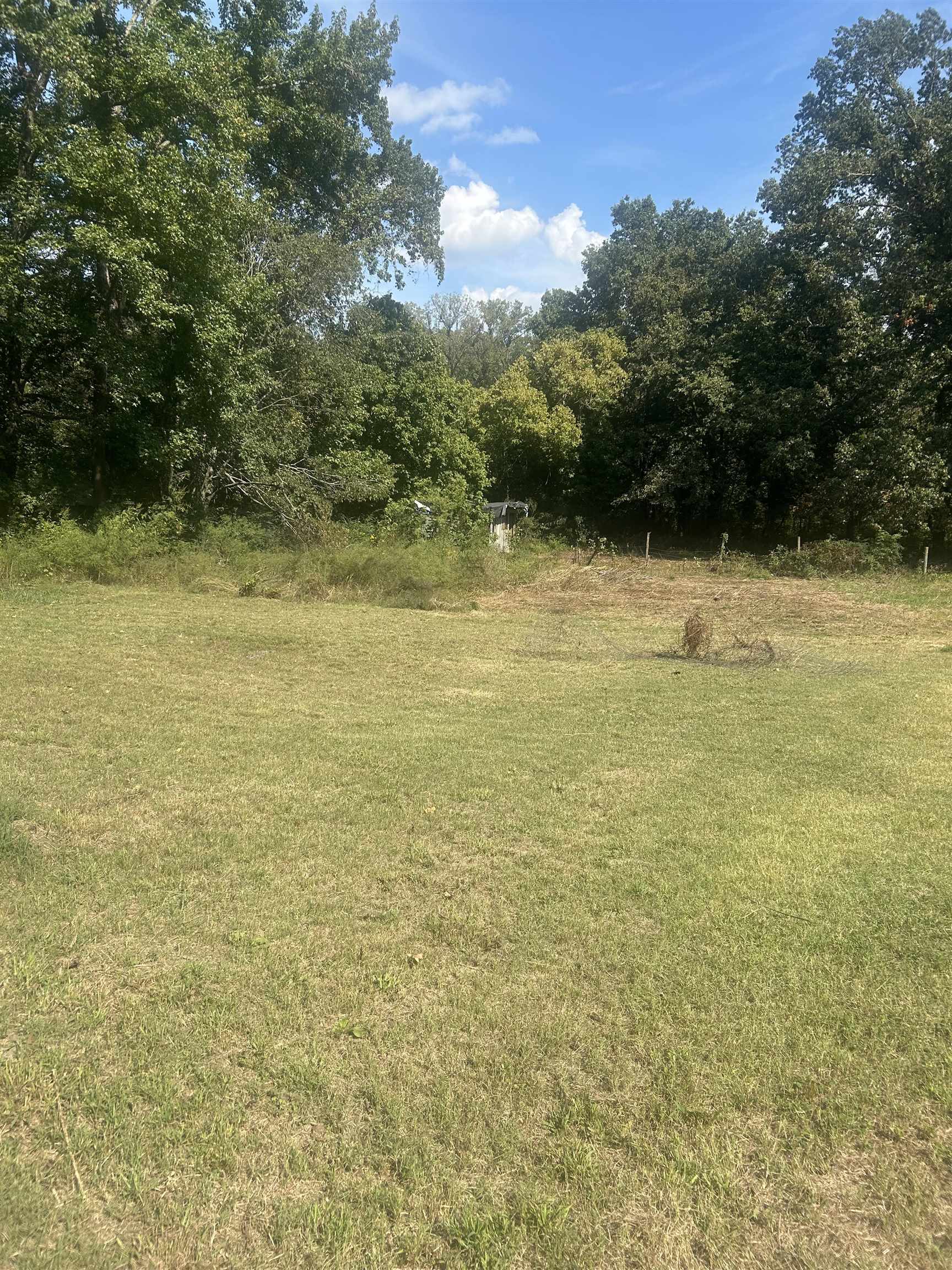 6936 Walsh Road Millington, TN 38053 - Photo 12 of 15 View of yard