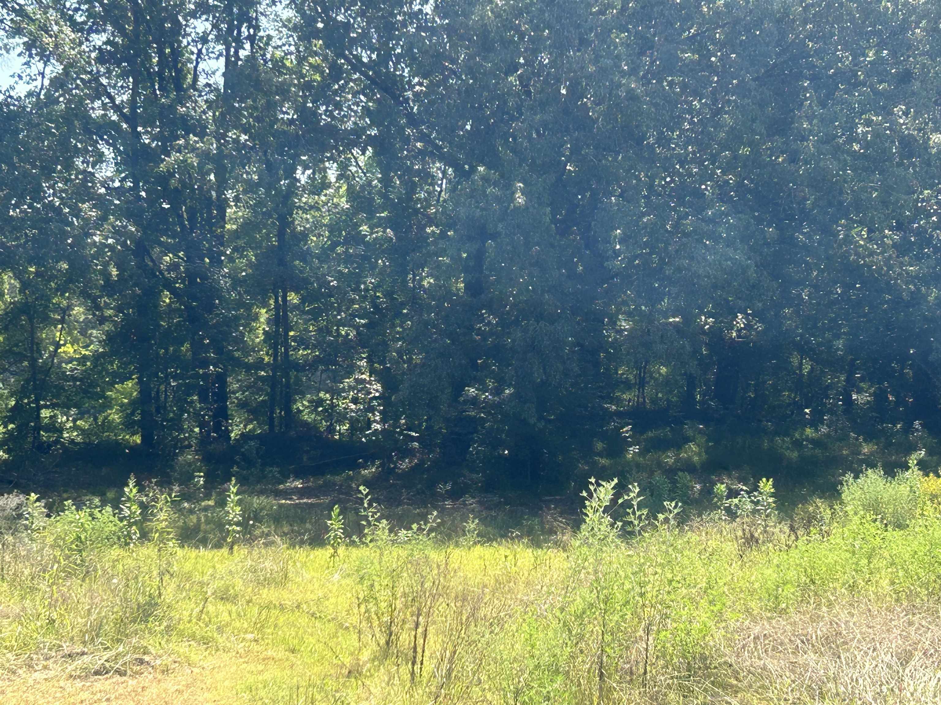 6936 Walsh Road Millington, TN 38053 - Photo 13 of 15 View of local wilderness
