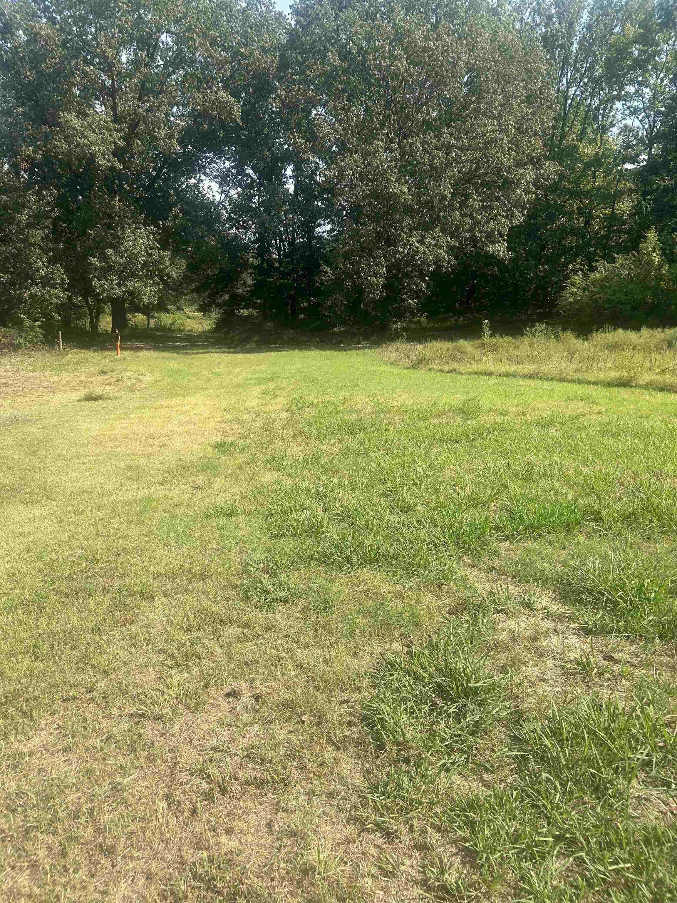 6936 Walsh Road Millington, TN 38053 - Photo 14 of 15 View of yard