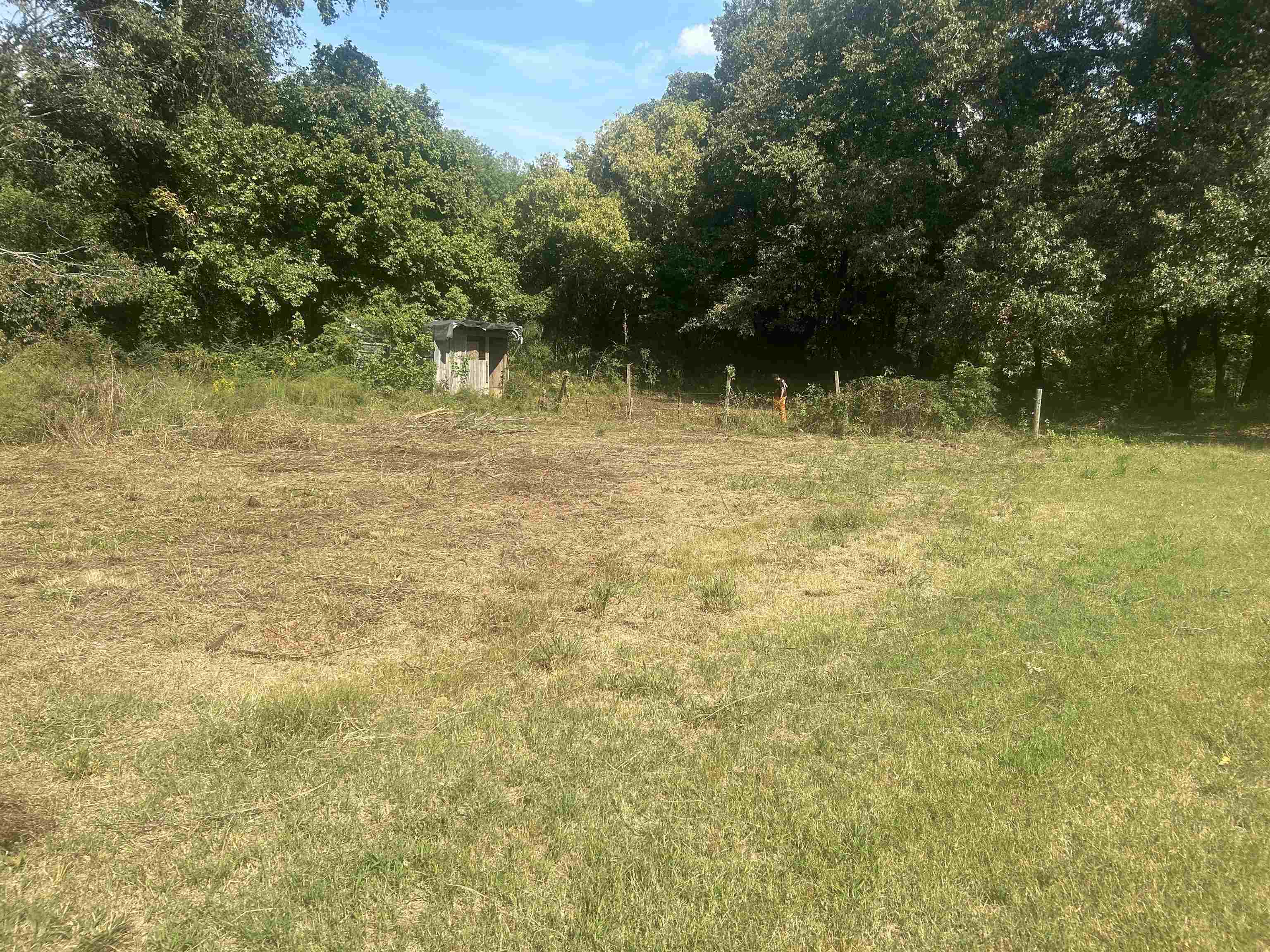 6936 Walsh Road Millington, TN 38053 - Photo 2 of 15 View of nature