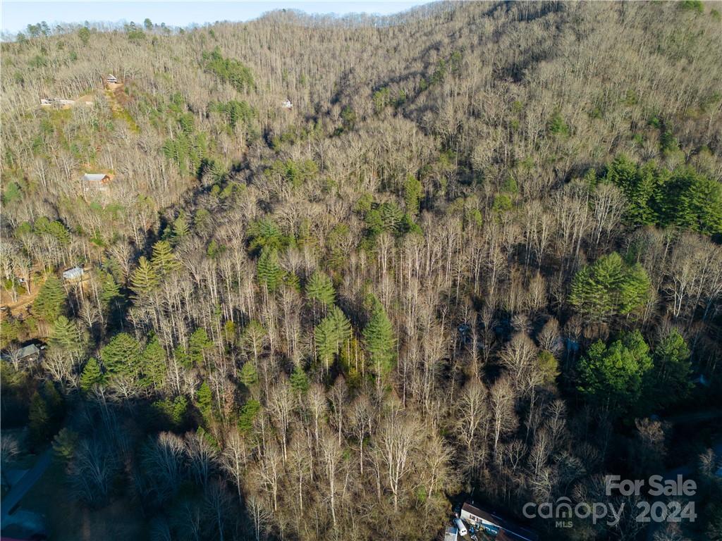 0 Early Deitz Road Sylva, NC 28779 - Photo 3 of 8 a view of a covered with trees