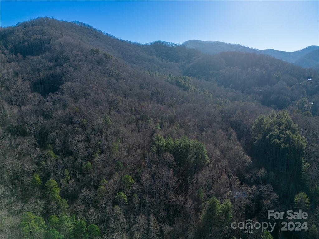 0 Early Deitz Road Sylva, NC 28779 - Photo 5 of 8 a view of a forest with mountains in the background