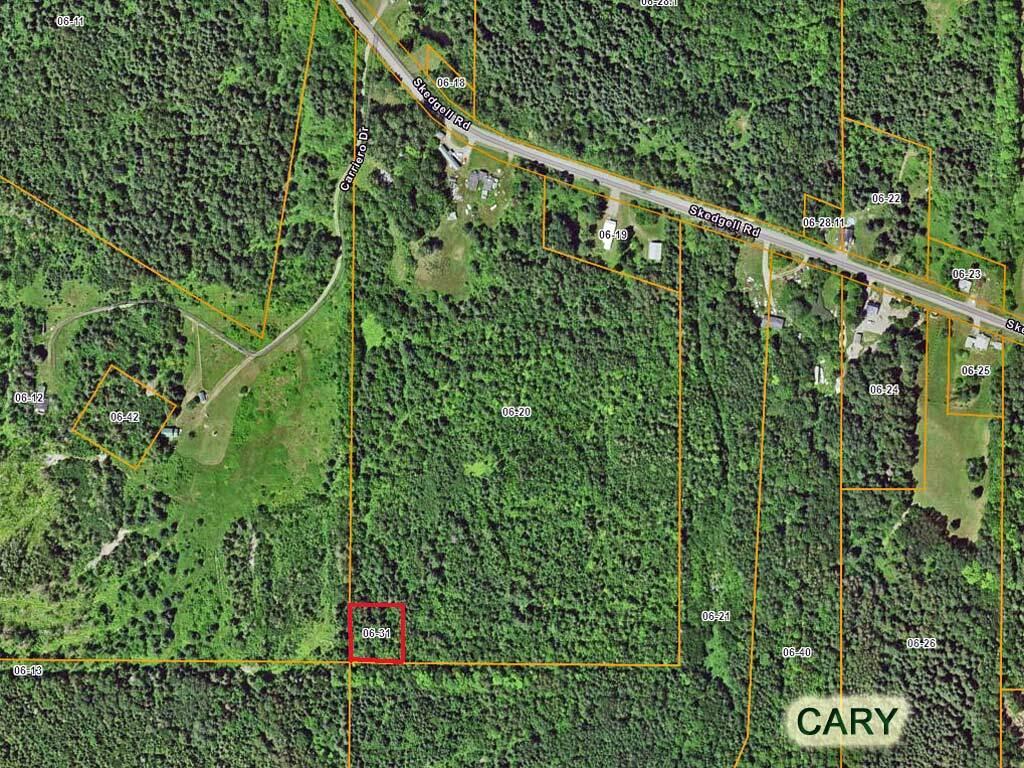 Lot 31 Carriero Road Orient, ME 04471 - Photo 2 of 5 cary-me-land-2