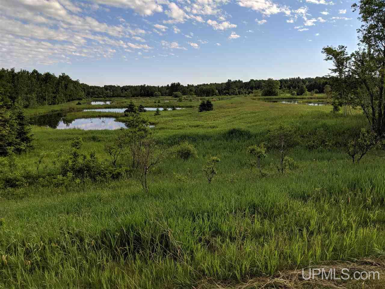 Tbd Town Line Road Skandia, MI 49885 - Photo 8 of 14