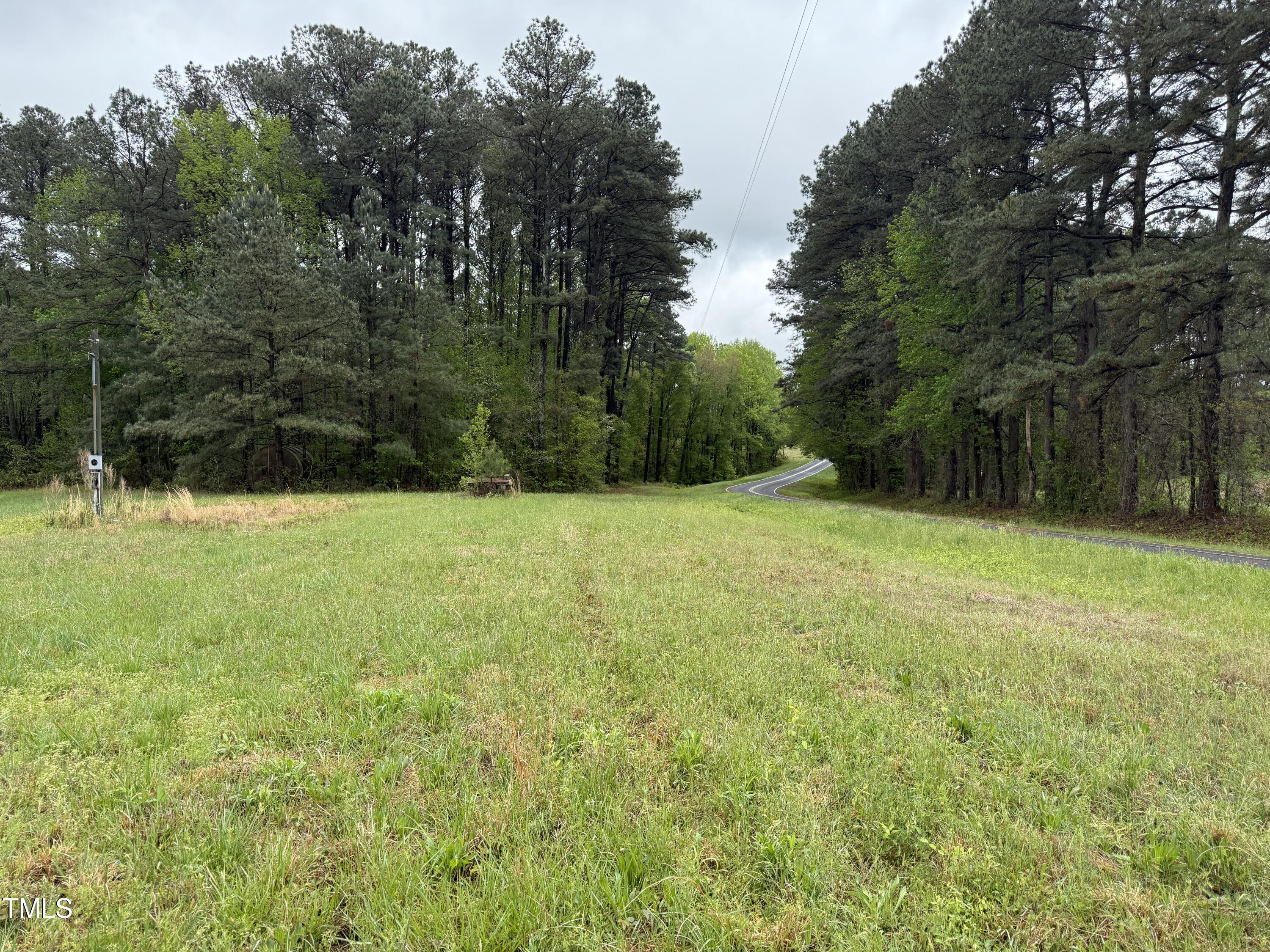 0 Stallings Mill Road Spring Hope, NC 27882 - Photo 2 of 13 02