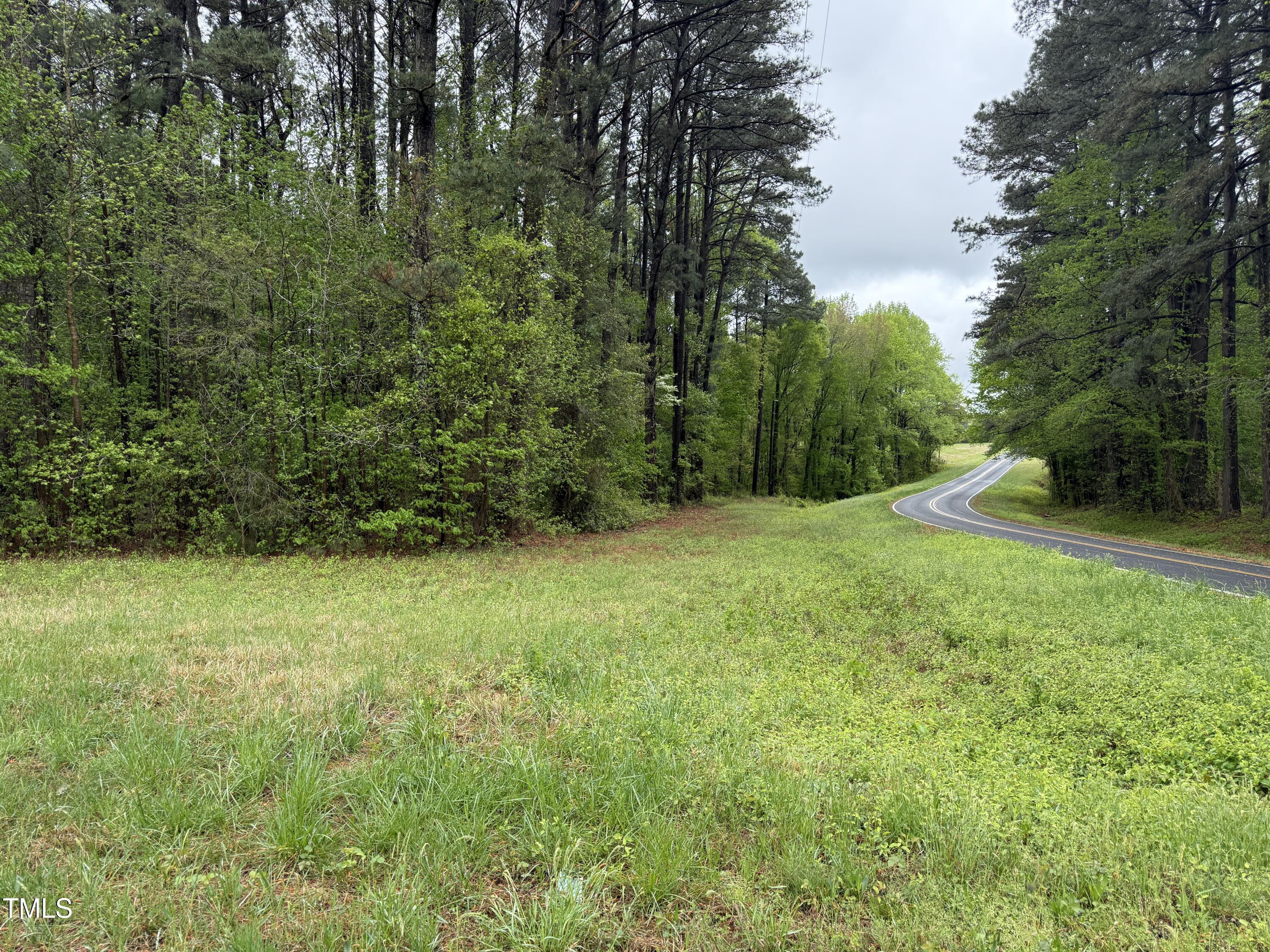 0 Stallings Mill Road Spring Hope, NC 27882 - Photo 5 of 13 Copy of Copy of IMG_5656