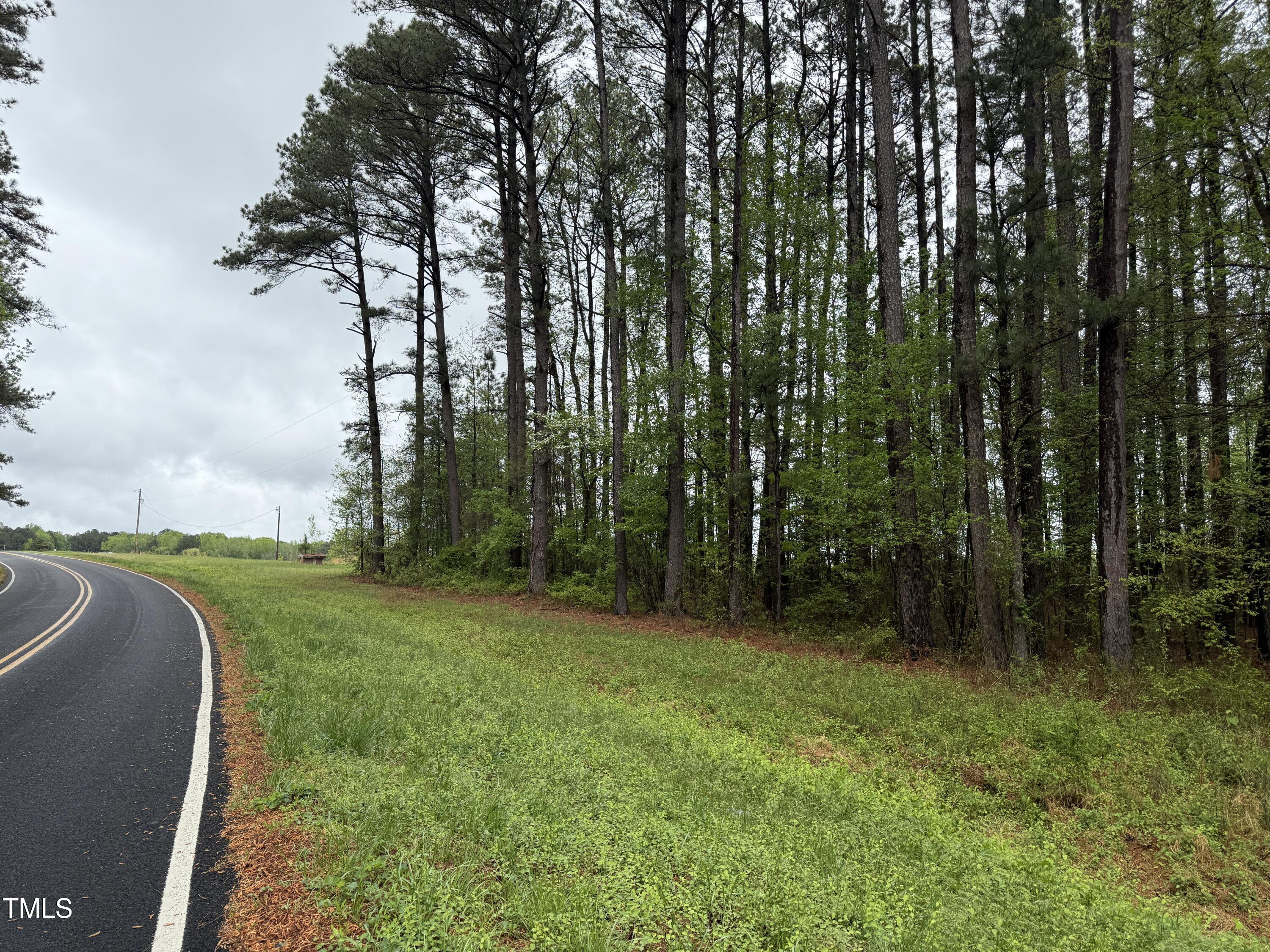 0 Stallings Mill Road Spring Hope, NC 27882 - Photo 7 of 13 Copy of Copy of IMG_5658