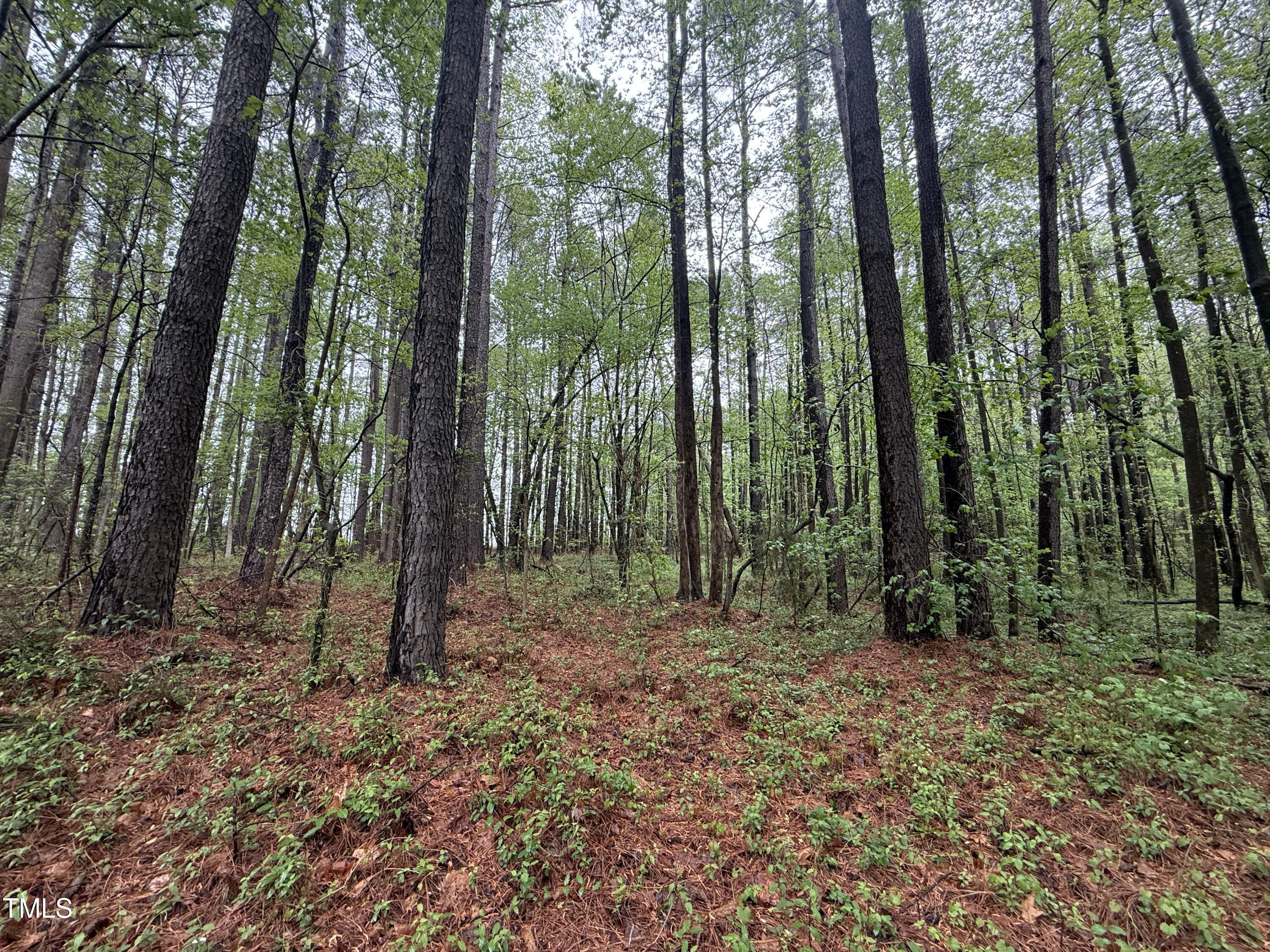 0 Stallings Mill Road Spring Hope, NC 27882 - Photo 8 of 13 Copy of Copy of IMG_5659