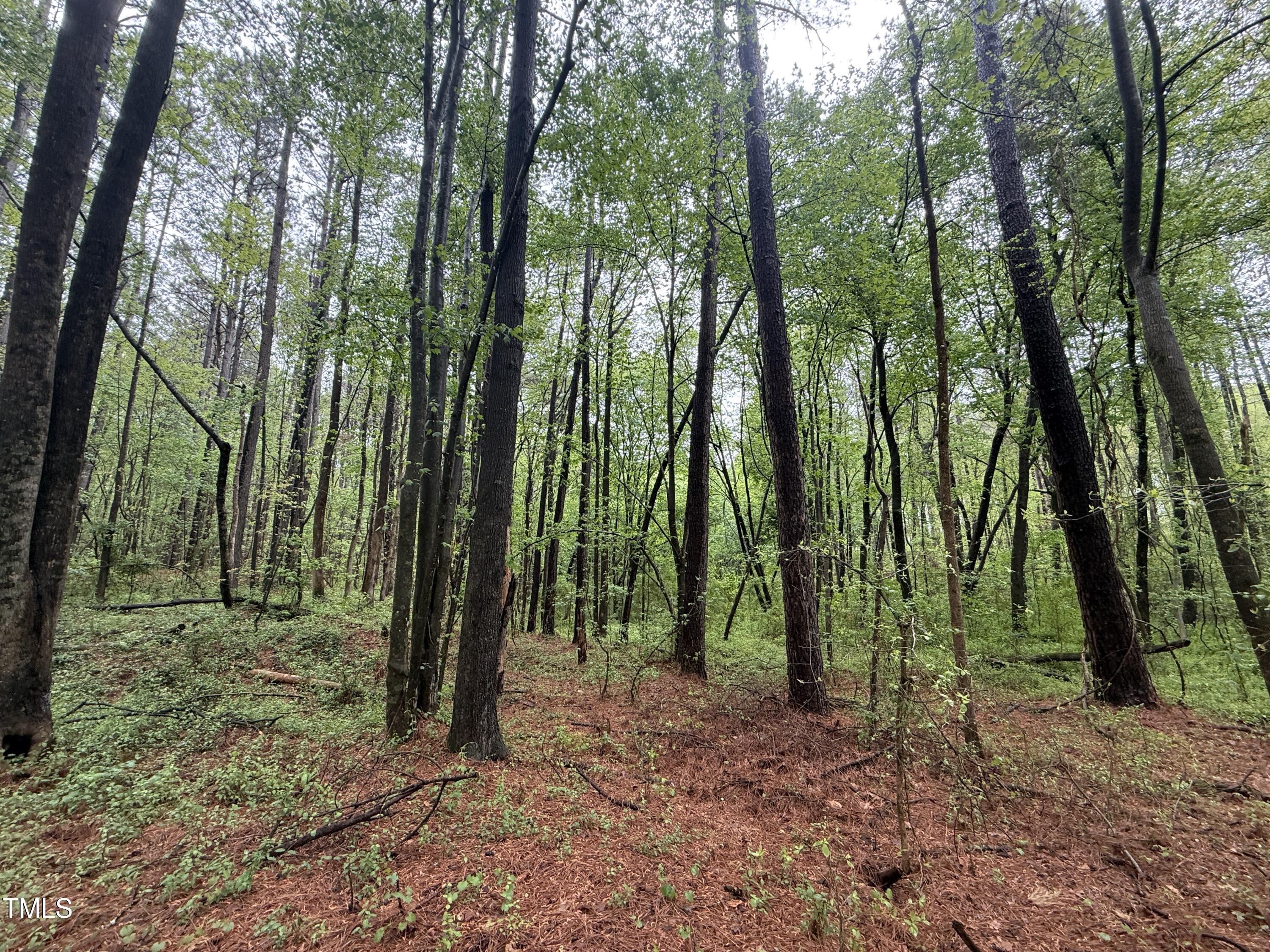 0 Stallings Mill Road Spring Hope, NC 27882 - Photo 9 of 13 Copy of Copy of IMG_5660