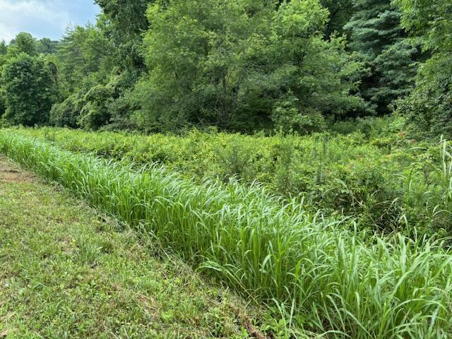 0 Mayers Road Booneville, KY 41314 - Photo 2 of 6 1
