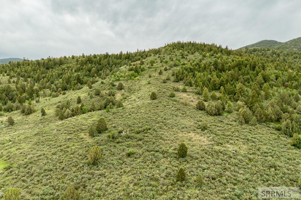 Tbd Victory View Road Lava Hot Springs, ID 83246 - Photo 4 of 10