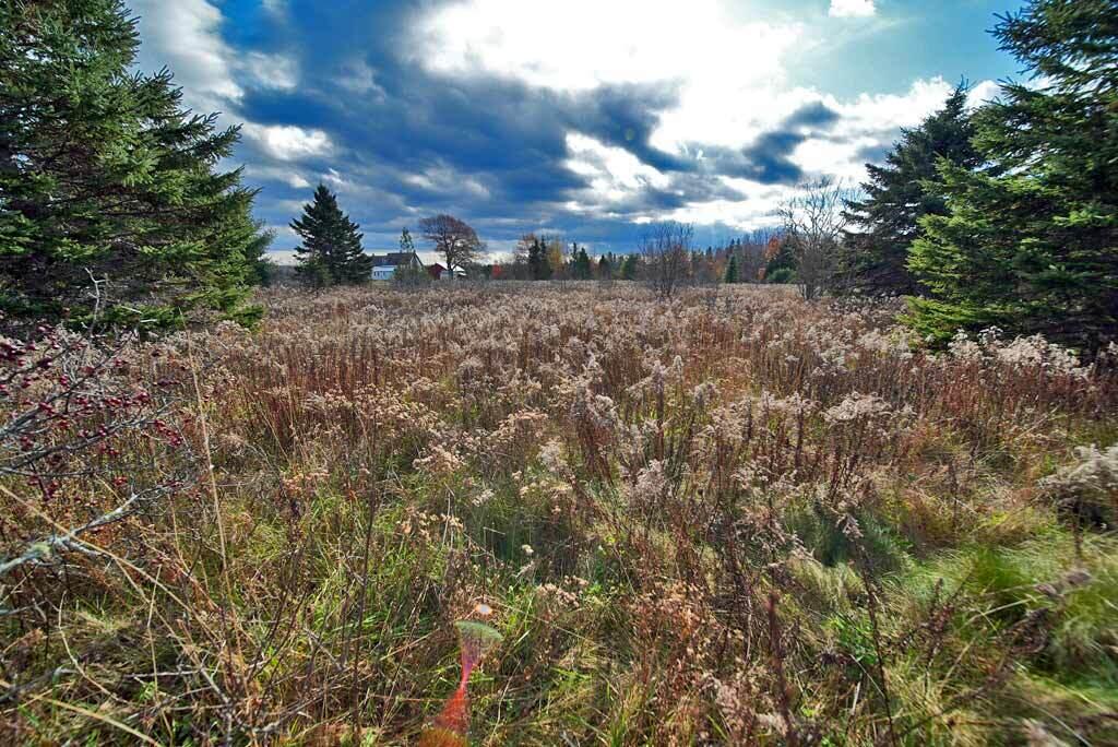 Lot 18 U.S. Rte 2 Newport, ME 04953 - Photo 39 of 62