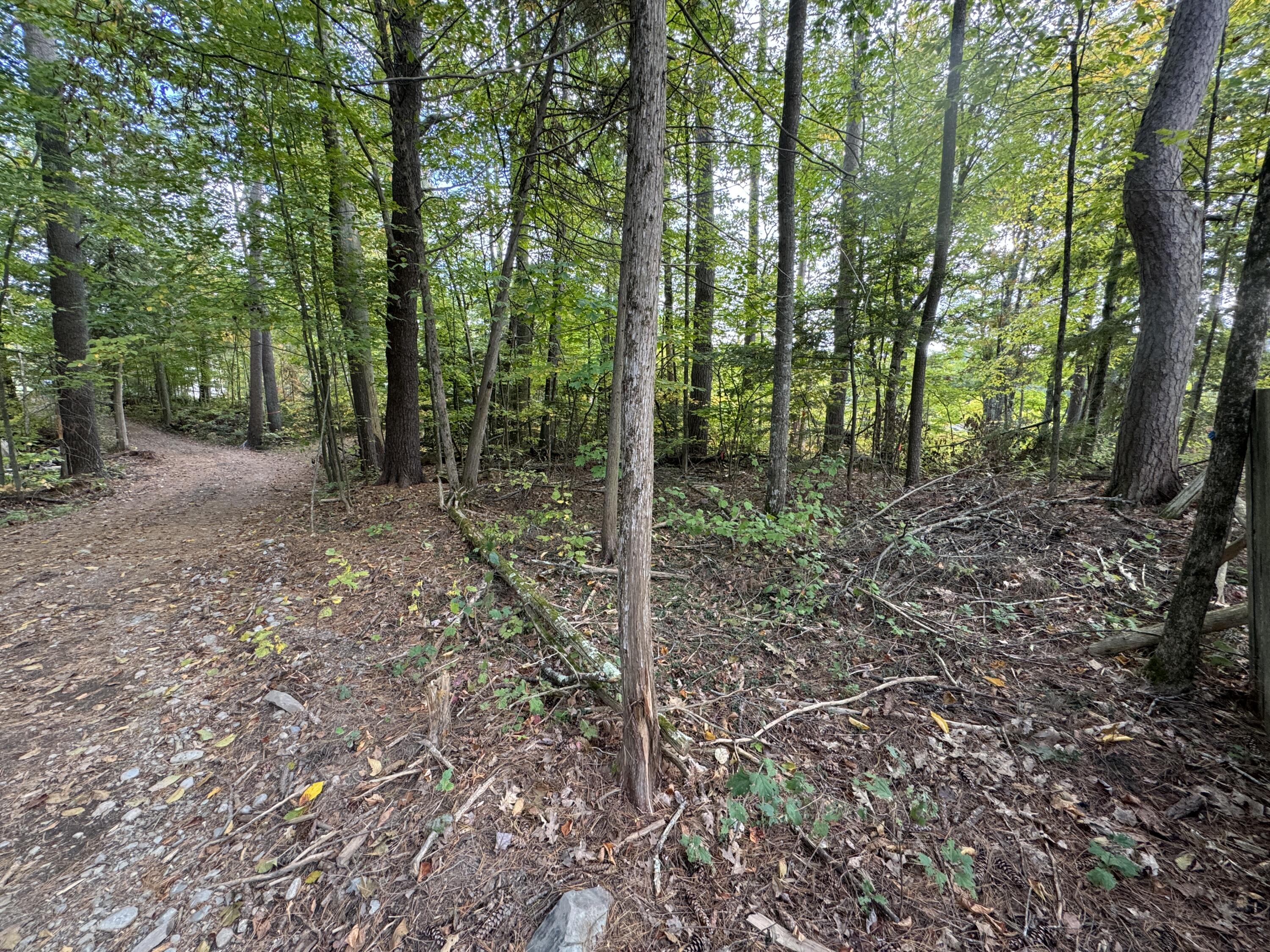 Lot 5 Locust Lane Unity, ME 04988 - Photo 8 of 9 Land