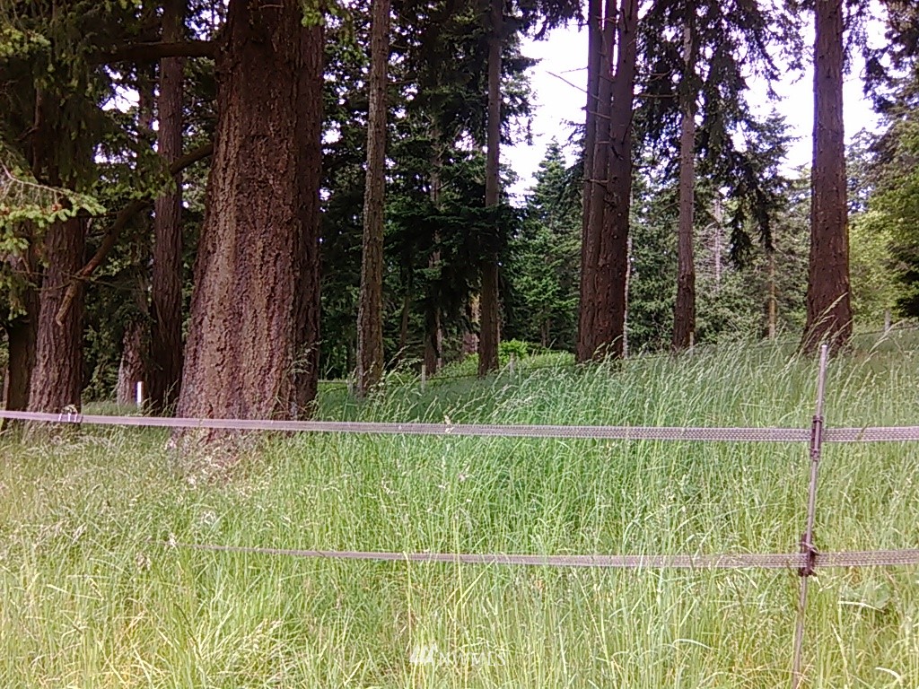 180 West Beach Road Orcas Island, WA 98245 - Photo 12 of 12 Gallery Image 12
