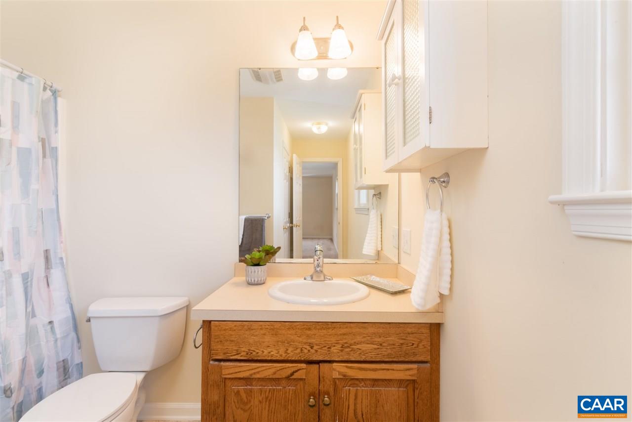 761 West Daffodil Road Ruckersville, VA 22968 - Photo 15 of 39 a bathroom with a sink and mirror with toilet