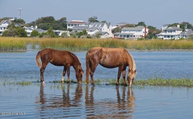 $2,800 | 201 Ann Street, Beaufort, NC 28516