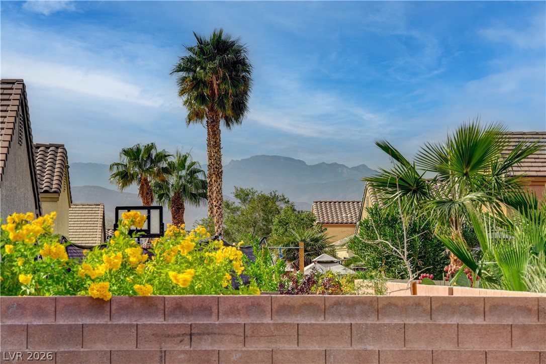 1020 East Rome Boulevard North Las Vegas, NV 89086 - Photo 28 of 29 Mountain View