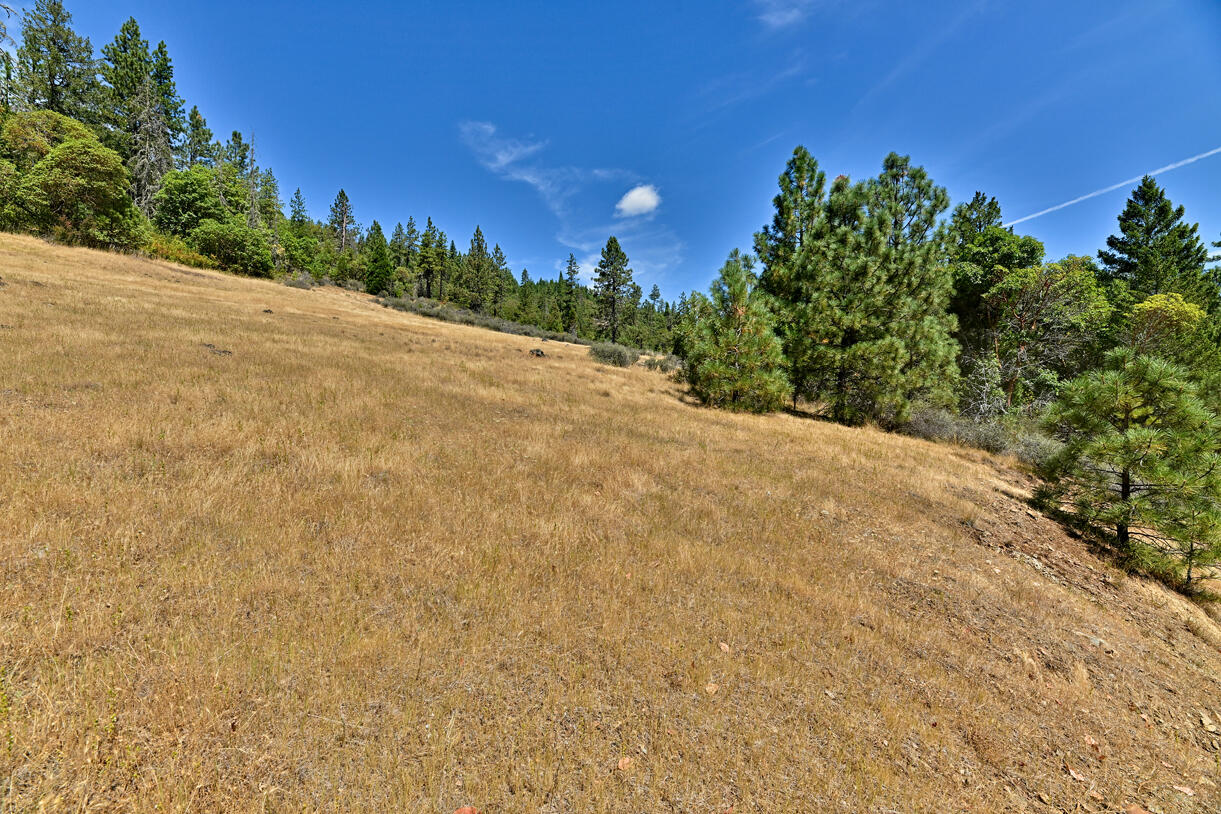 360 Sparky Way Cave Junction, OR 97523 - Photo 15 of 20 DSC_9698