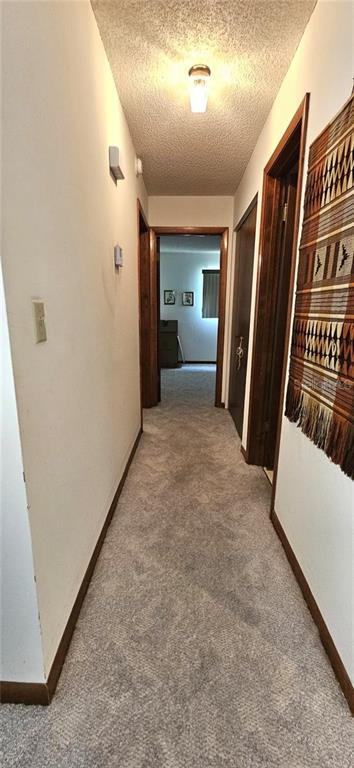 10881 Southwest 79th Terrace Ocala, FL 34476 - Photo 16 of 38 a view of livingroom with hardwood