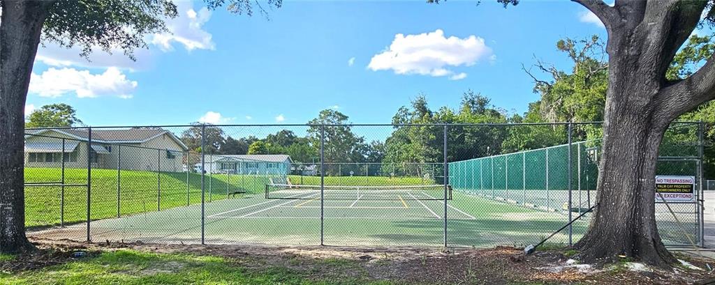 10881 Southwest 79th Terrace Ocala, FL 34476 - Photo 28 of 38 a view of a backyard