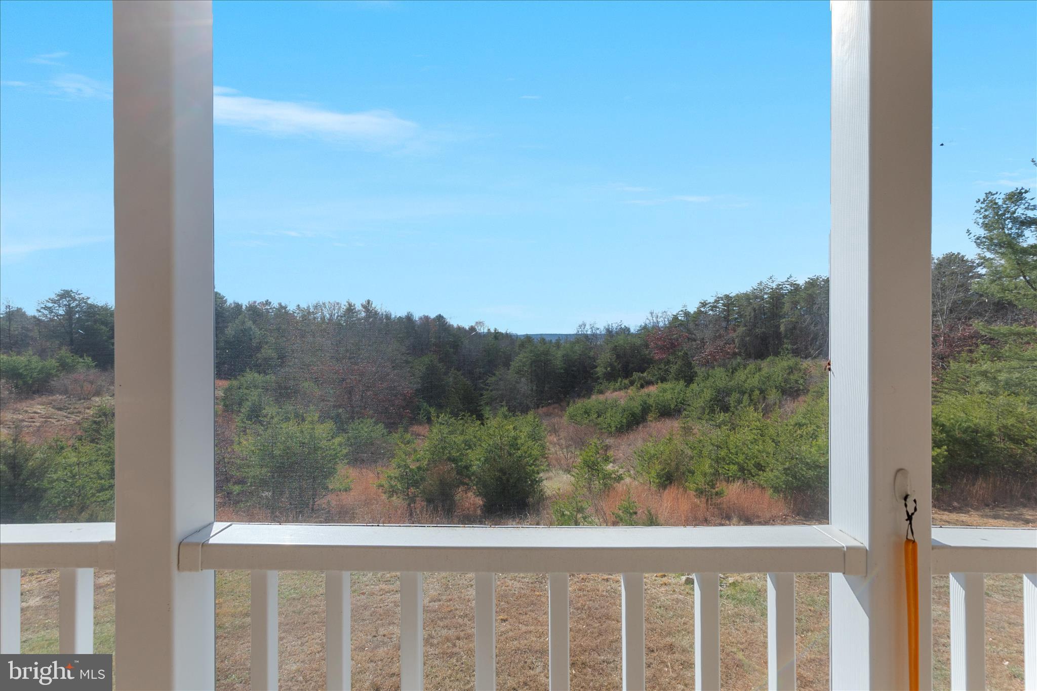 882 Liberty Furnace Road Edinburg, VA 22824 - Photo 37 of 47 a view of a forest from a window