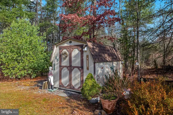 a view of a forest with trees in the background