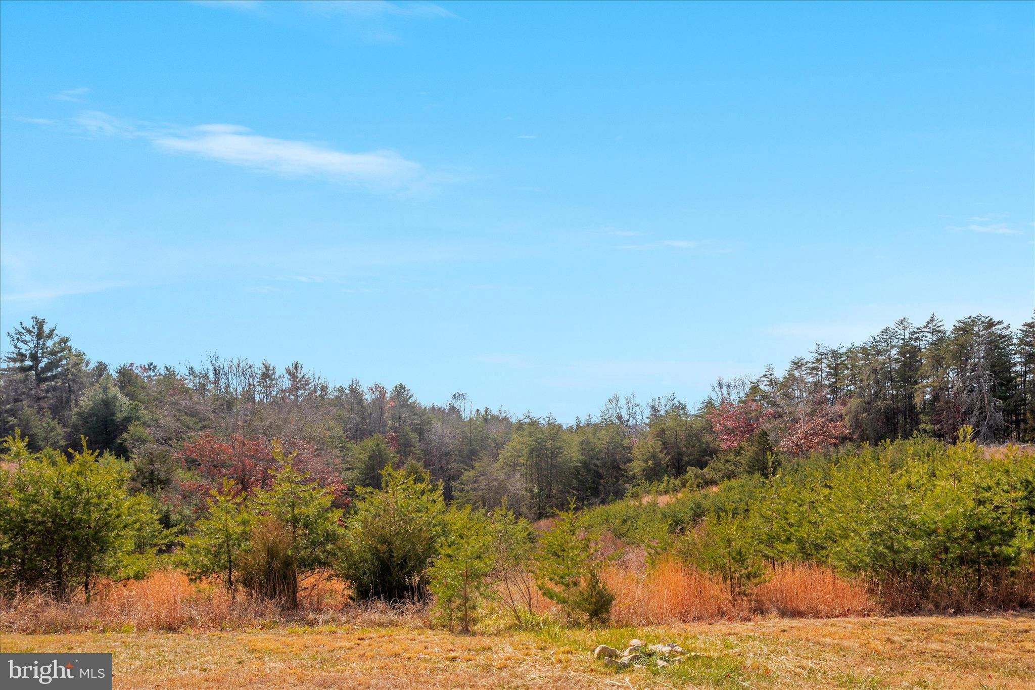 882 Liberty Furnace Road Edinburg, VA 22824 - Photo 46 of 47 a view of a mountain