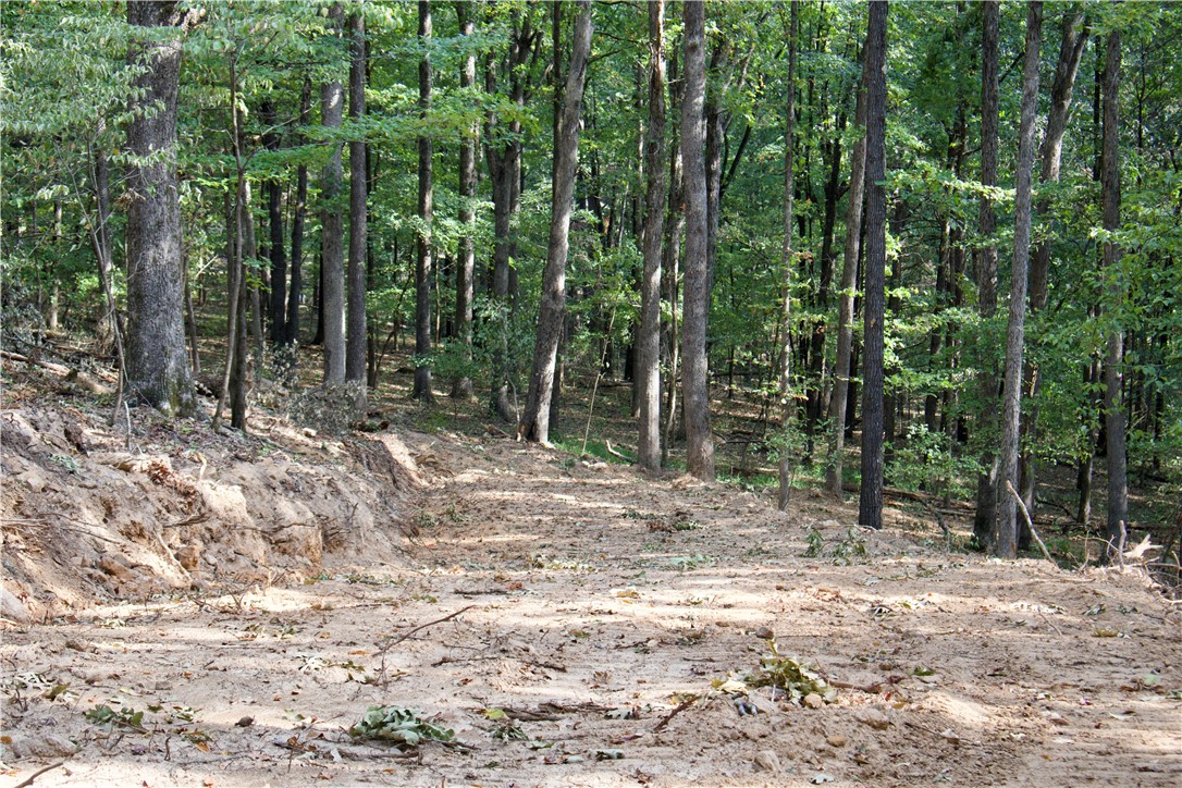 0 Ozark Point Chester, AR 72934 - Photo 15 of 49 Road leading into the hardwoods and pines.
