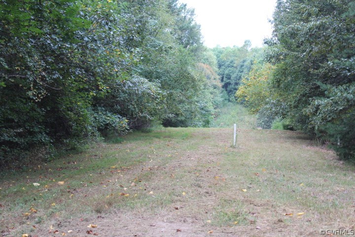 Lot B Arrow Reed Road Surry, VA 23883 - Photo 8 of 19 Gallery Image 8
