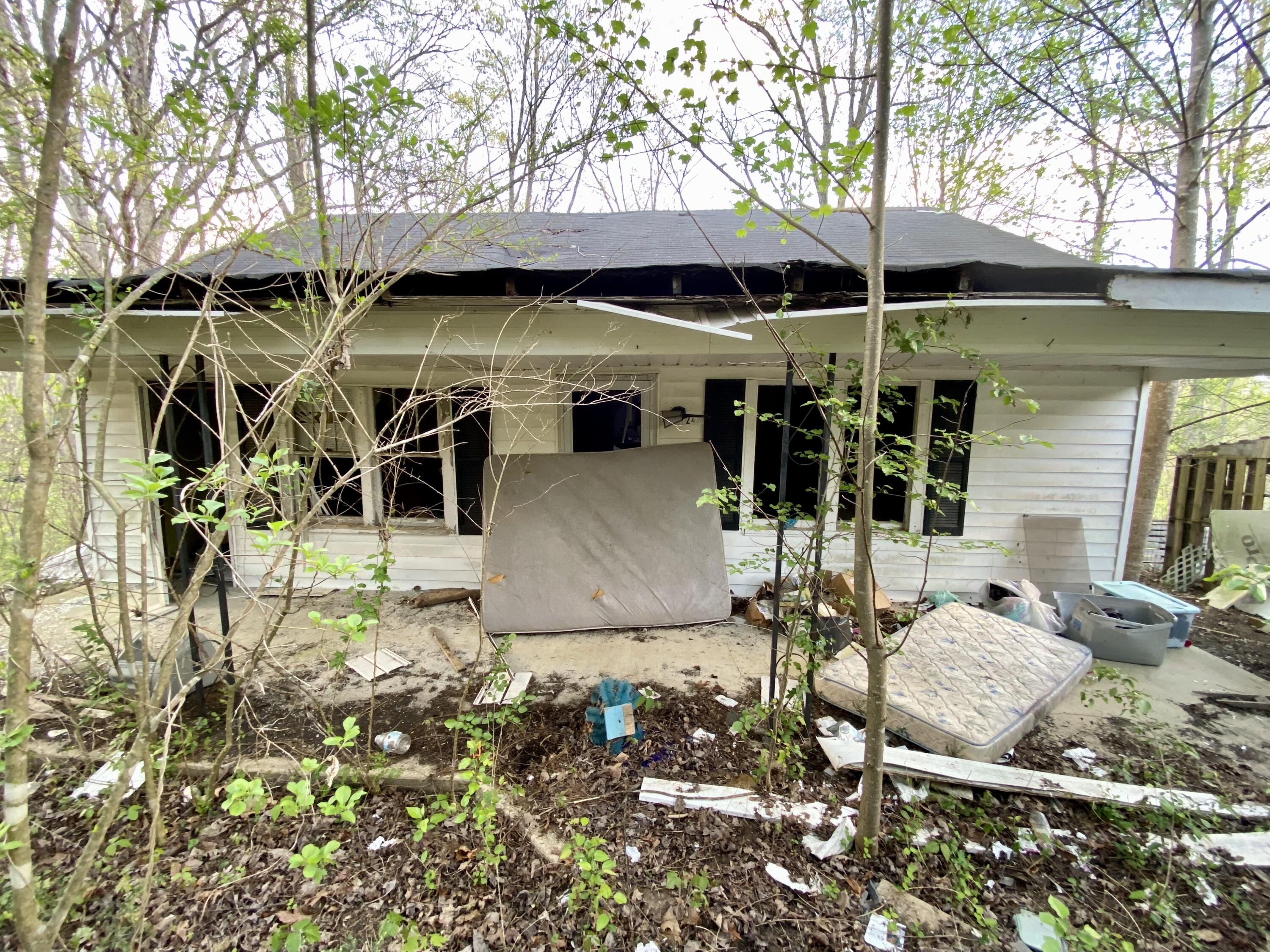 248 Pine Ridge Road Stearns, KY 42647 - Photo 6 of 8 IMG_6237