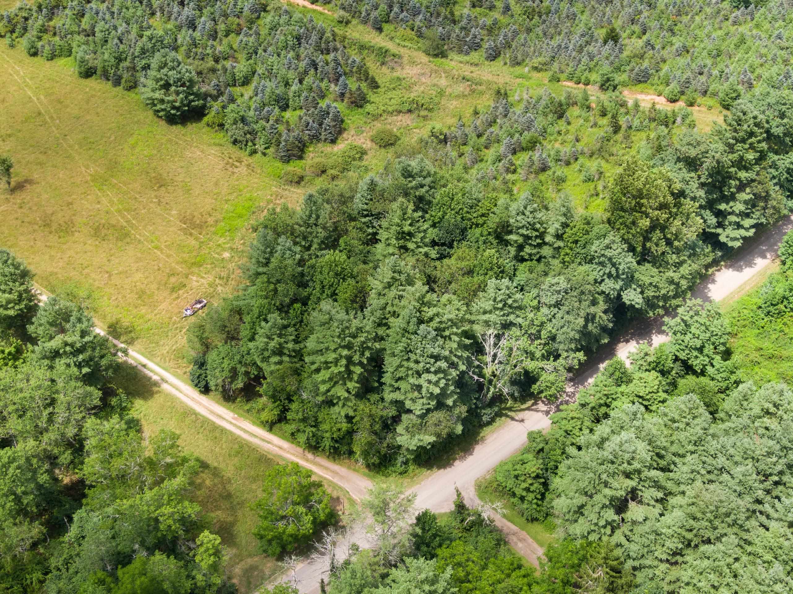 Tbd Rocky Hill Road Northwest Willis, VA 24380 - Photo 9 of 21 Gallery Image 9