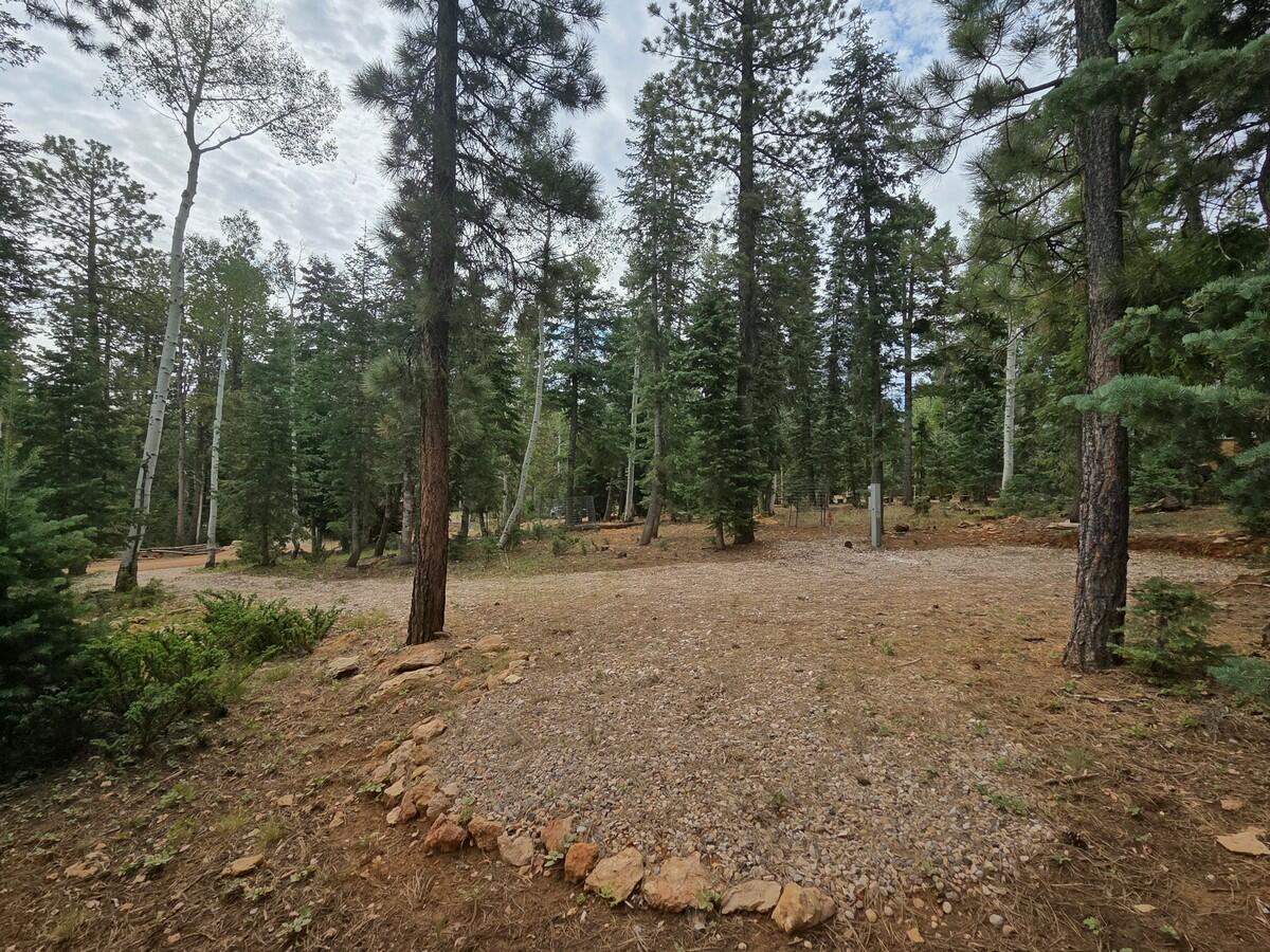 3135 Power Line Road Duck Creek Village, UT 84762 - Photo 1 of 14 Main Picture
